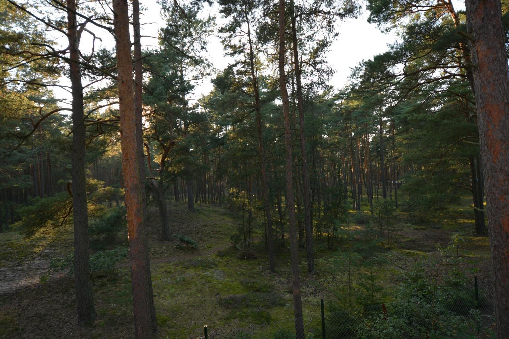 Domyletnie Pobierowo Dom 100M2 Z Dzialka I Balkonem Exterior photo